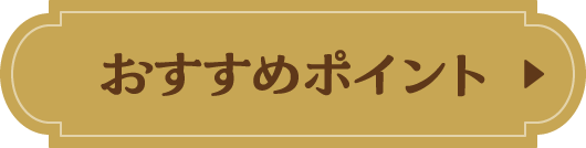 おすすめポイント